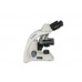 Микроскоп Fusion FS-7620 (бинокулярный, 40х-1000х)