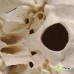 Классическая модель черепа, 3 части