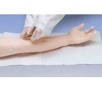 Вдосконалений тренажер для венопункції і ін'єкції, рука