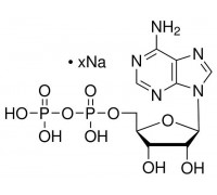 А2754 Аденозин 5'-дифосфат Na, 95%, 1 г (Sigma)