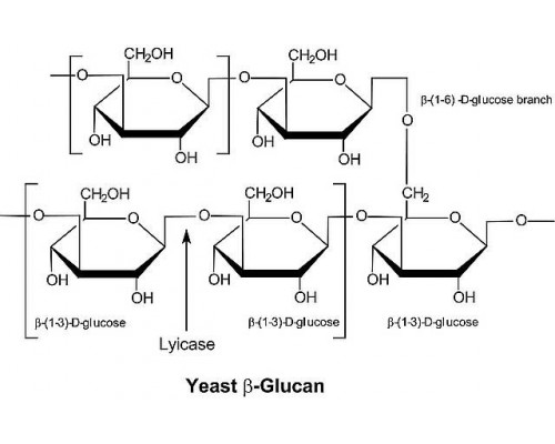 L2524 Литиказа, Arthrobacter luteus, лиофилизированый порошок, ≥2,000 ед/мг белка, Protein ≥20% by biuret,