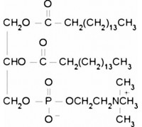 P5911 DL-а-Фосфатидилхолін (1,2-Dipalmitoyl-rac-glycero-3-phosphocholine), 99%, 1 г (SIGMA)