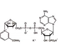 B24450 Никотинамид аденин динуклеотид фосфат кислая соль, около 90%, 100 мг (Alfa)