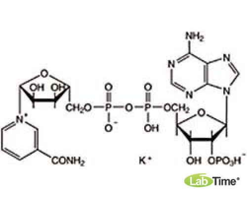 B24450 Никотинамид аденин динуклеотид фосфат кислая соль, около 90%, 100 мг (Alfa)