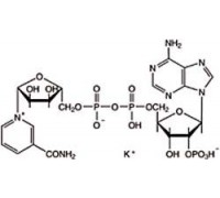 B24450 Нікотинамід аденін динуклеотид фосфат кисла сіль, близько 90%, 100 мг (Alfa)