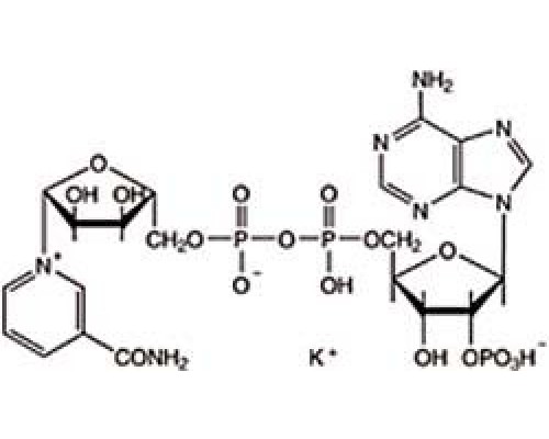 B24450 Нікотинамід аденін динуклеотид фосфат кисла сіль, близько 90%, 100 мг (Alfa)