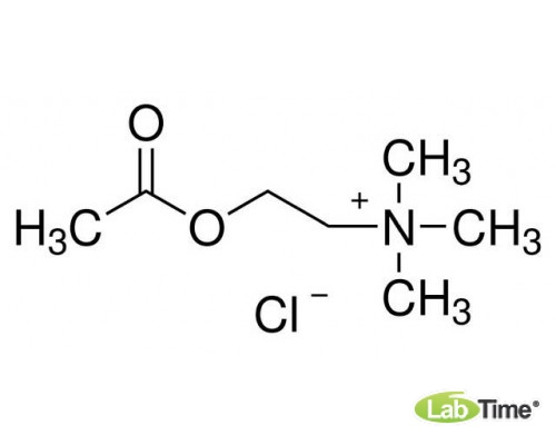 L02168 Ацетилхолин хлорид, 98+%, 25 г