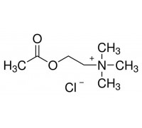 L02168 Ацетилхолин хлорид, 98 +%, 25 г