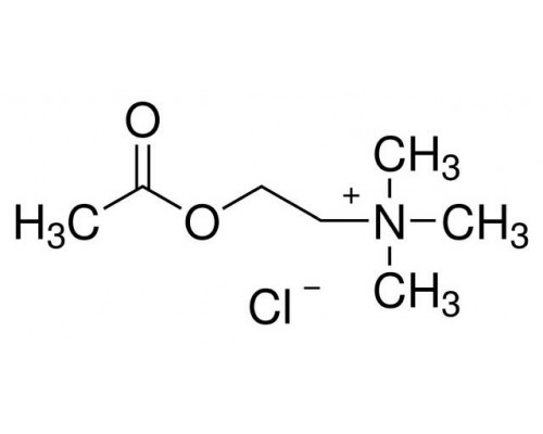 L02168 Ацетилхолин хлорид, 98 +%, 25 г