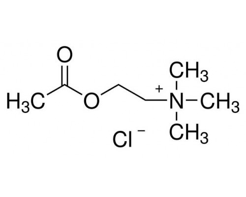 L02168 Ацетилхолин хлорид, 98 +%, 100 г
