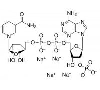 J62089 бета-Никотинамид аденин динуклеотид фосфат тетранатриевая соль, восстановленный, 95%, 500 мг