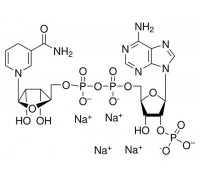 J62089 бета-Нікотинамід аденін динуклеотид фосфат тетранатріевая сіль, відновлений, 95%, 500 мг