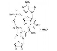 44126 бета-Нікотинамід аденін динуклеотид фосфат натрієва сіль, 250 мг (Alfa)