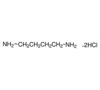 A18312 Путресцин дигидрохлорид (1,4-диаминобутана дигидрохлорид), мин. 98%, 25 г (Alfa)