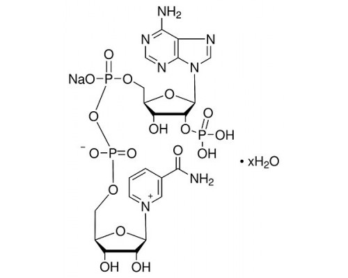 A1394.0250 b-Нікотинамід аденін динуклеотид фосфат Na, хв. 97%, 250 мг (AppliChem)