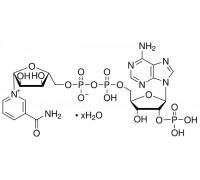 0760 Нікотинамід аденін динуклеотид фосфат (НАДФ динатрієва сіль тригідрат), в окисленої формі, 500 мг