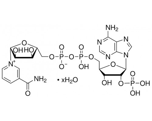 0760 Нікотинамід аденін динуклеотид фосфат (НАДФ динатрієва сіль тригідрат), в окисленої формі, 500 мг