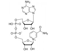 0455 β-Никотинамидадениндинуклеотид (NAD, окисленной форме), 10 г (Amresco)