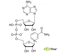 β-Никотинамидадениндинуклеотид (NAD, окисленной форме), 1 г
