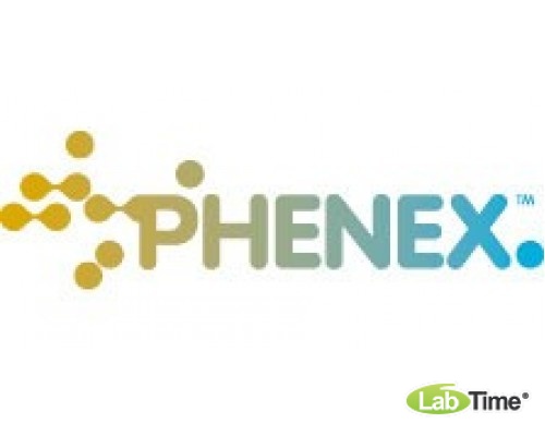 Шприцевой фильтр Phenex-PES 0.45 мкм, 28 мм, не стерильные, Luer/Slip, 100 шт/упак.