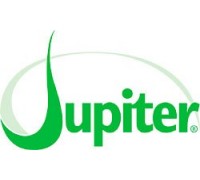 Колонка Jupiter 10 мкм, C18, 300A, 250 x 21.2 мм