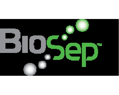 Колонка BioSep-SEC-s2000, 300 x 4.6 мм