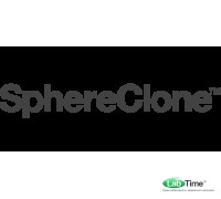 Колонка SphereClone 10 мкм, ODS (1), 80A, 250 x 4.0 мм