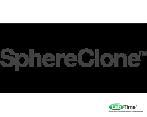 Колонка SphereClone 3 мкм, ODS(2), 80A, 125 x 4.6 мм