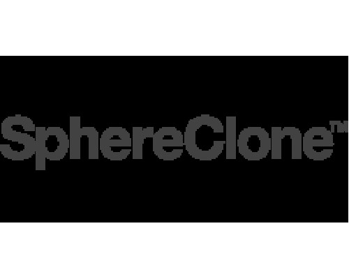Предколонка SphereClone 5 мкм, ODS (1) 30 x 4.6 мм