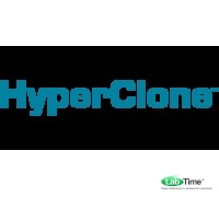 Колонка HyperClone 3 мкм, BDS C18, 130A, 100 x 2.0 мм