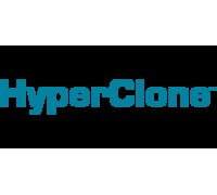 Колонка HyperClone 5 мкм, MOS (C8) 120A125 x 4.0 мм