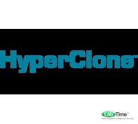 Колонка HyperClone 5 мкм, PAH125 x 4.6 мм