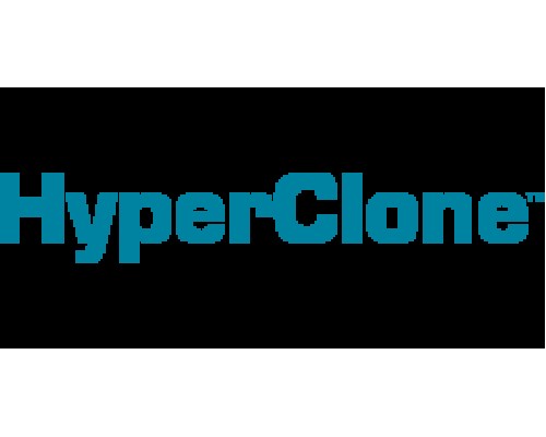 Предколонка HyperClone 5 мкм, ODS(C18) 120A, 30 x 4.6 мм