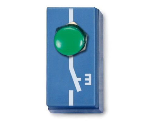 Кнопковий перемикач (розімкнутий), однополюсний P2W19