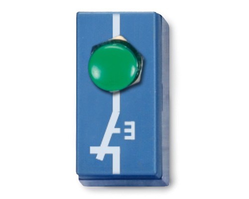 Кнопковий перемикач (замкнутий), однополюсний P2W19