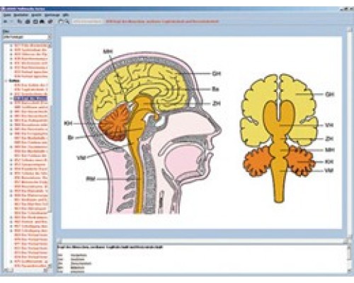 Програма «Нервова система і передача інформації», частина II, на компакт-диску