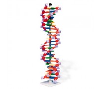 Сучасна модель ДНК miniDNA ™ (22 шару)