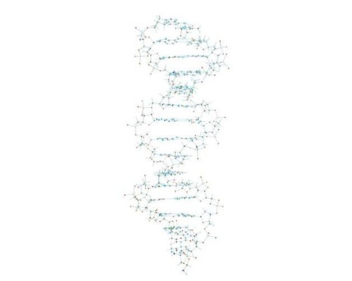 Модель ДНК Minit Proview
